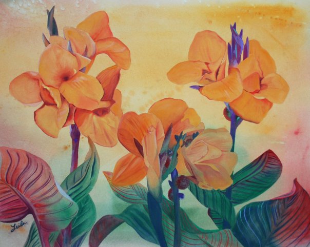 Canna Lilies