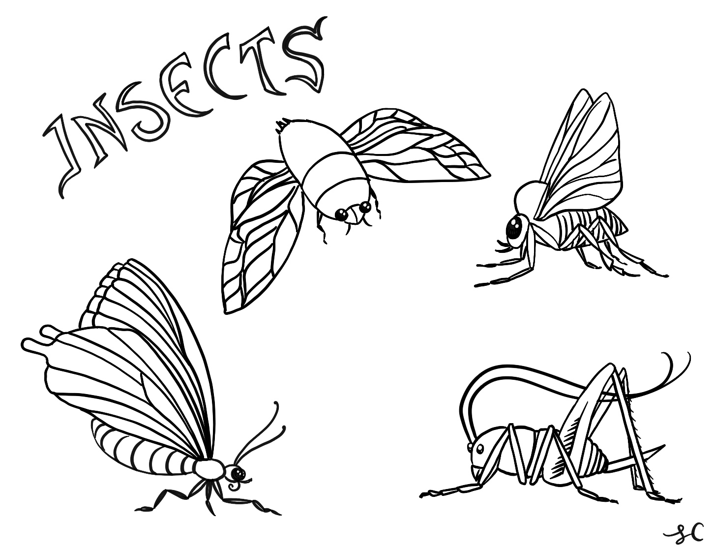 insects-coloring-page-leila-currah